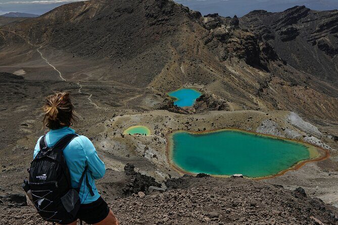Tongariro Crossing : PRIVATE TRANSFER Leaving AUCKLAND - Whats Included and What Isnt