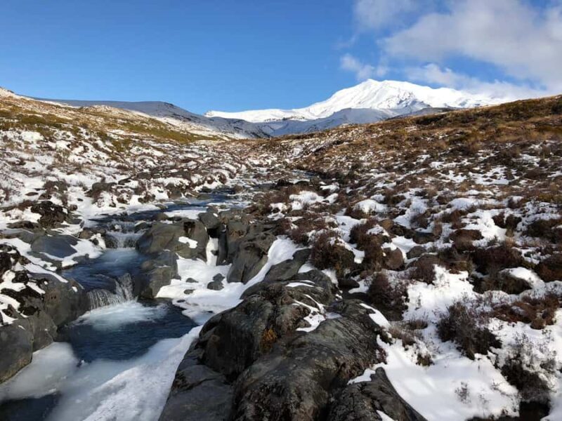 Tongariro National Park: Pre-Sunset Guided Walking Tour - An In-Depth Look at the Tour Experience
