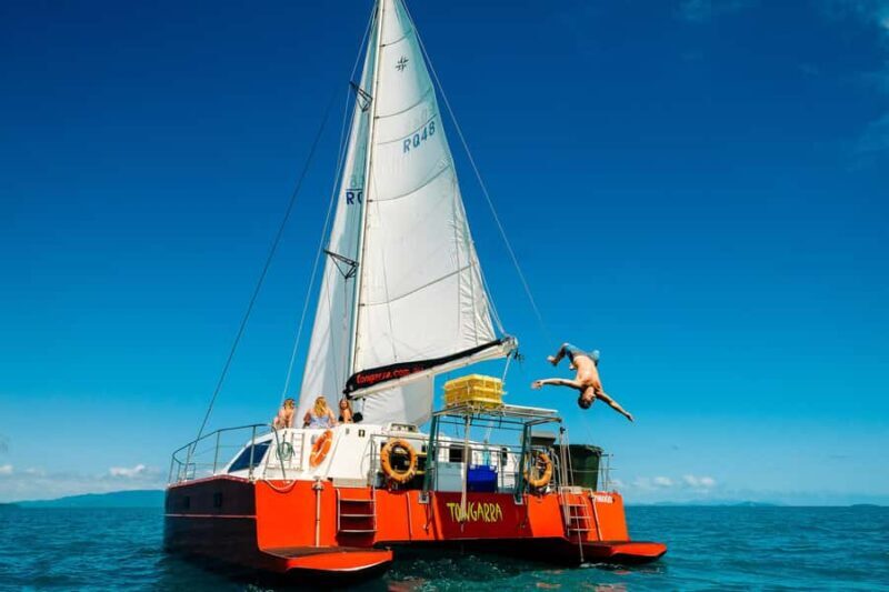 Tongarra: All-Inclusive Day Sail - Final Words