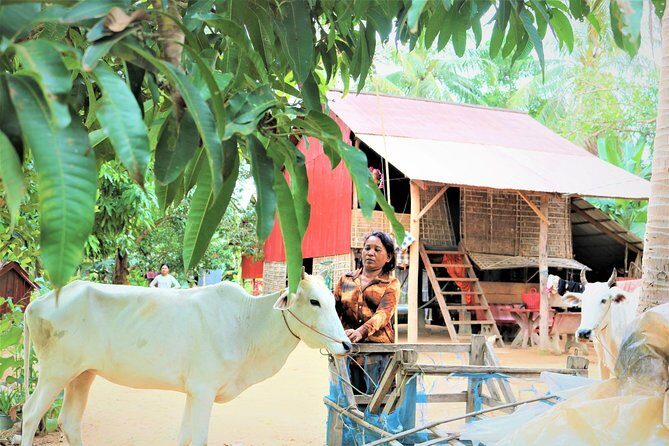 Tonle Sap Lake - Fishing Village & Flooded Forest - FAQ
