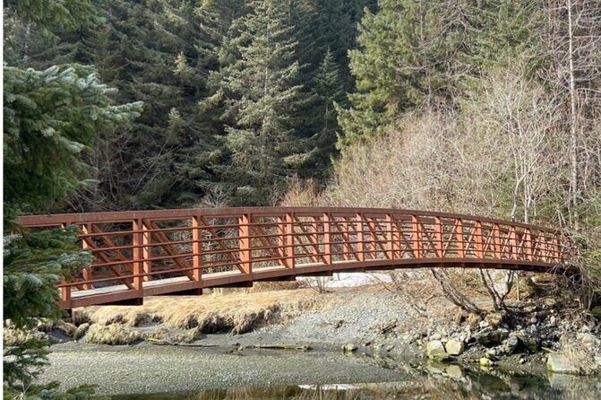 Tonsina Beach Hike with Seward Guided Hikes - An In-Depth Look at the Tonsina Beach Hike Experience