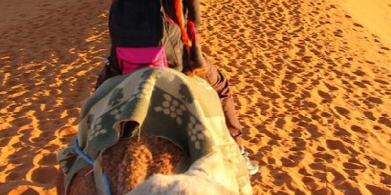 Top 3-day, 2-night Sahara adventure: Marrakech to merzouga - Final Thoughts