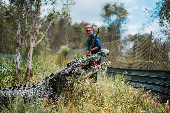 Top End Safari Camp Day Tour - The Sum Up