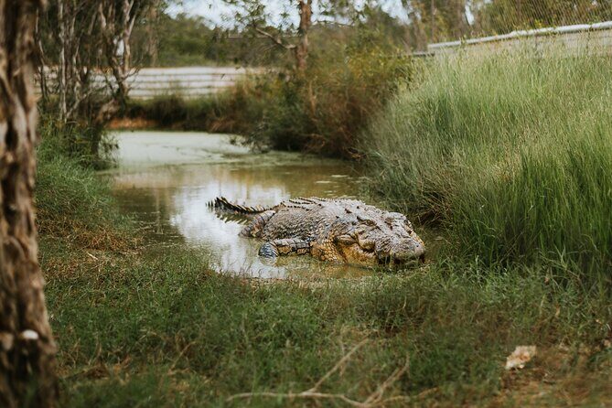 Top End Safari Camp Day Tour - FAQs about the Top End Safari Camp Day Tour
