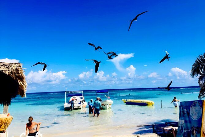 Top Experience: Costa Maya All Inclusive El Faro Beach Club - The Realities: What Travelers Say