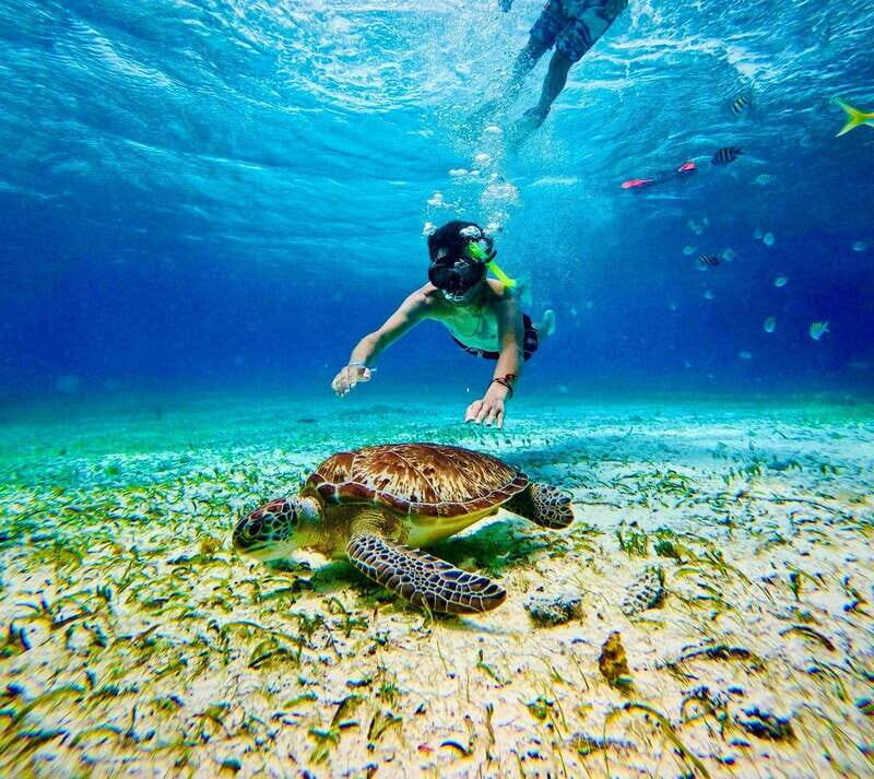 Top Experience: Snorkel & Beach Club All Inclusive / Open Bar & Lunch - Introduction