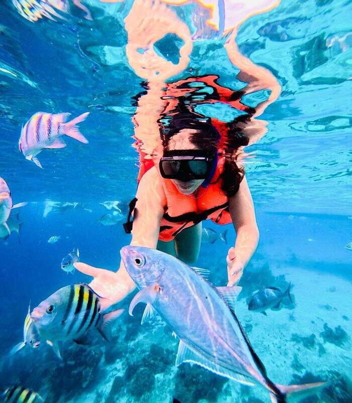 Top Experience: Snorkel & Beach Club All Inclusive / Open Bar & Lunch - Detailed Breakdown of the Day
