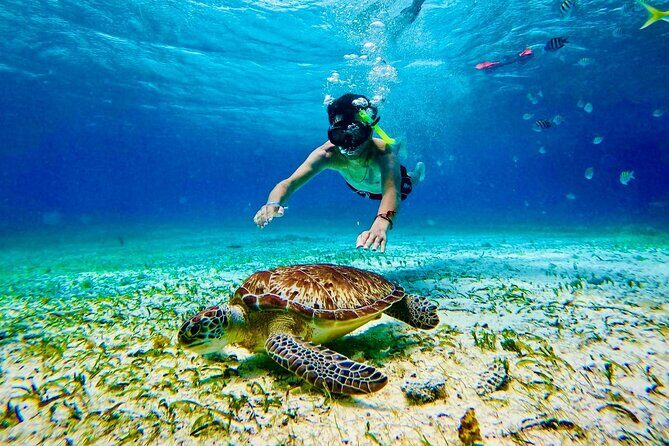Top Experience: Snorkel Tour & All Inclusive Beach Club - A Detailed Look at the Snorkel & Beach Club Tour
