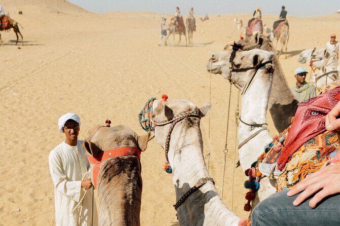 TOP Private ALL INCLUSIVE Pyramids,New Grand museum, Lunch,camel - The Practicalities