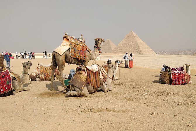 TOP Private ALL INCLUSIVE Pyramids,New Grand museum, Lunch,camel - Final Thoughts