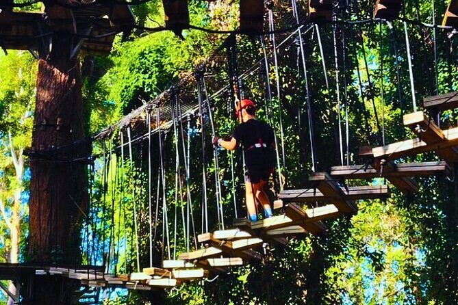 Top Rated Atlas Mountains Zipline from Marrakesh - Is This Tour Worth It?