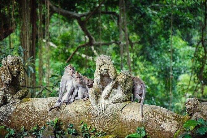 Top Ubud Attractions: Private Full-Day Guided Tour - Who Should Book This Tour?