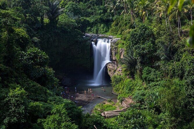 Top Ubud Attractions: Private Full-Day Guided Tour - Final Thoughts