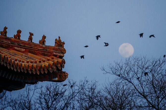 Top2 Beijing Forbidden City, Great Wall Flexible Private Tour OPT - An In-Depth Look at the Tour Itinerary