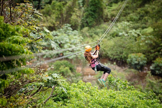 Toro Verde 7-Zipline Tour Plus the Monster with Transport - What the Reviews Say