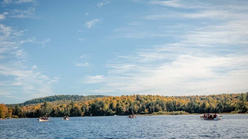 Toronto: Algonquin Park and Ragged Falls Day Trip - Whats Included and Whats Not