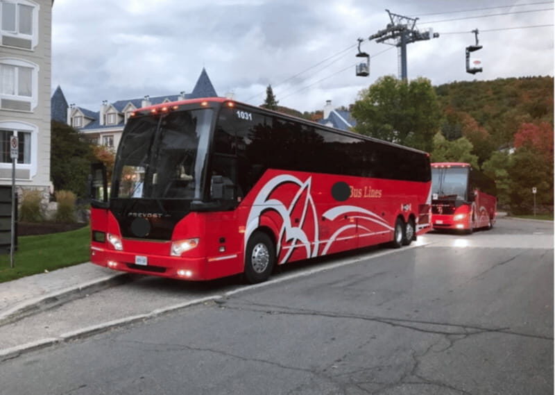 Toronto and Niagara Falls: Full-Day City and Nature Tour - Toronto and Niagara Falls: Full-Day City and Nature Tour — A Practical Guide