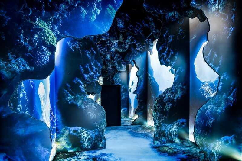 Toronto: Arcadia Earth, Immersive Experience Anytime Ticket - The Sum Up