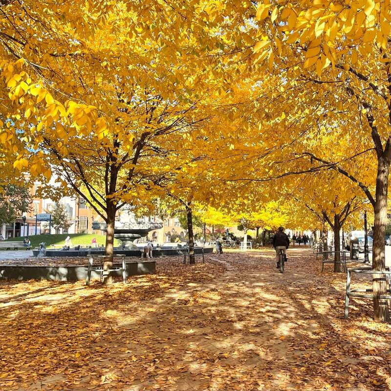Toronto: City Walking Tour - Final Thoughts: Is It Worth It?