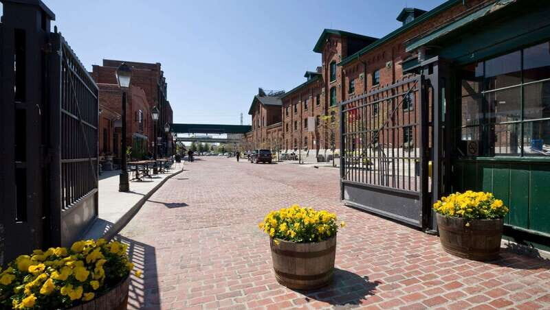 Toronto: Highlights & Hidden Gems Private Tour With a Local - The Guide and Experience