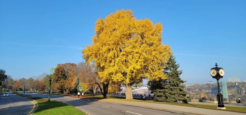 Toronto: Niagara Falls & NOTL Heritage Town Guided Day Tour - Scenic Drive & Sightseeing: Power Stations & Rapids