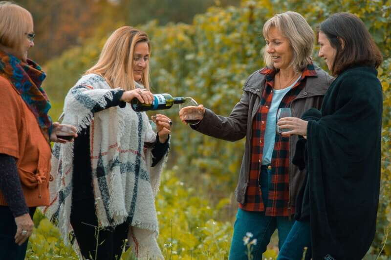 Toronto: Niagara Wineries Tasting Tour & Optional Lunch - Key Points
