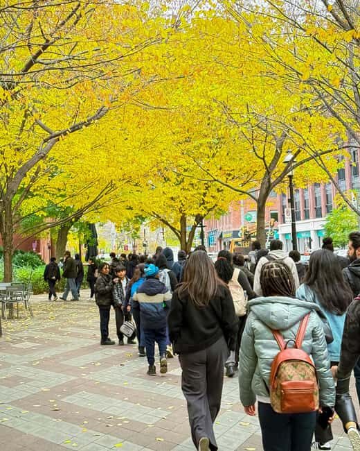 Toronto: Old Town Walking Tour - Why the Value Is Right for Many Travelers