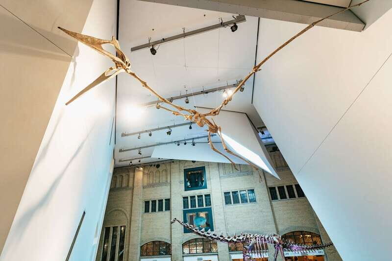 Toronto: Royal Ontario Museum Admission Ticket - An Introduction to the ROM Experience