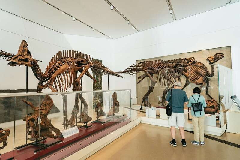 Toronto: Royal Ontario Museum Admission Ticket - The Dinosaur and Natural History Highlights