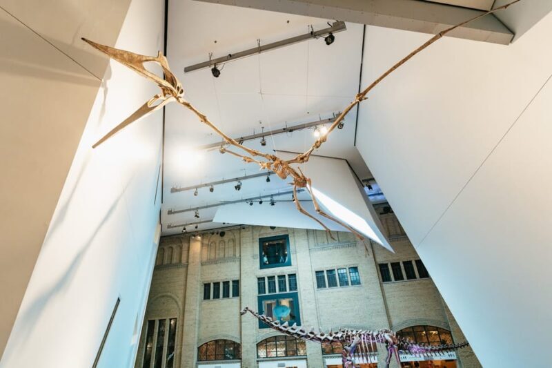 Toronto: Royal Ontario Museum Admission Ticket - Visiting Tips and Practicalities