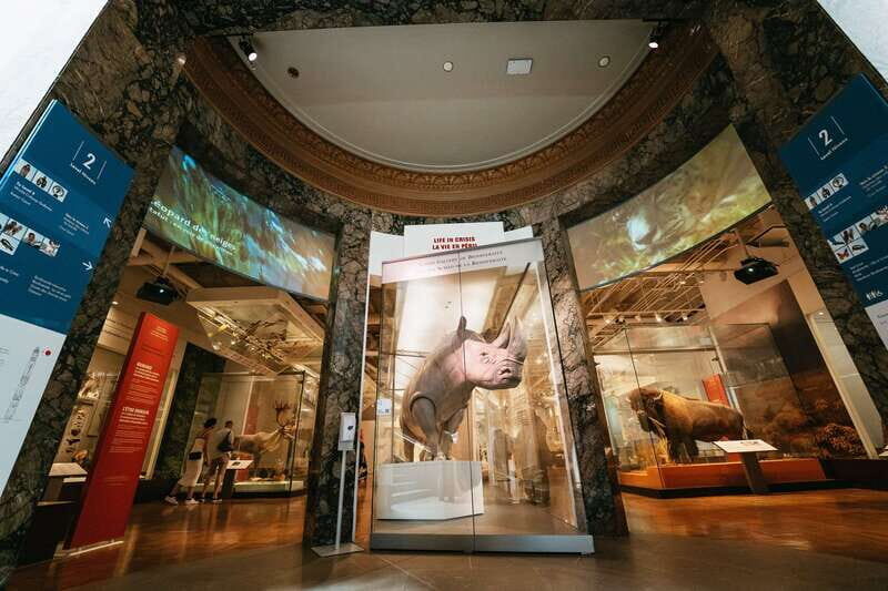 Toronto: Royal Ontario Museum Admission Ticket - Authentic Feedback from Visitors