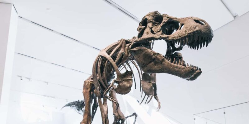 Toronto: Royal Ontario Museum Scavenger Hunt - Summary: Who Would Love This?