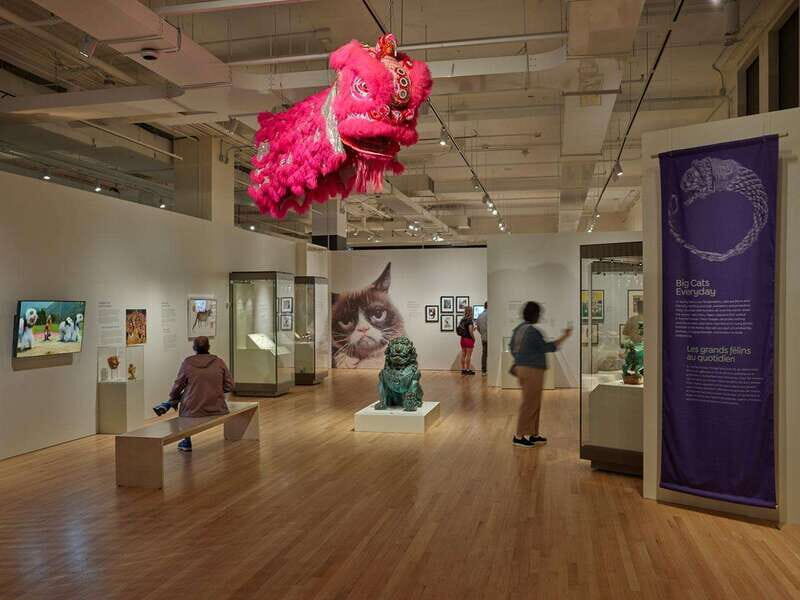 Toronto: Royal Ontario Museum Special Exhibits Voucher - FAQ
