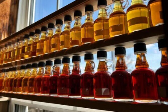 Toronto to Niagara Falls VIP Maple and Wine Tastings - Final Thoughts