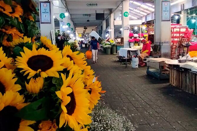 Tortilla Crawl: Food Tour in Mexico City - A Closer Look at the Tortilla Crawl Experience