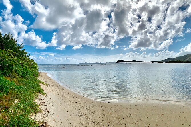 Tortola Private Tour and Snorkeling in the most beautiful beaches - What to Expect from the Tour