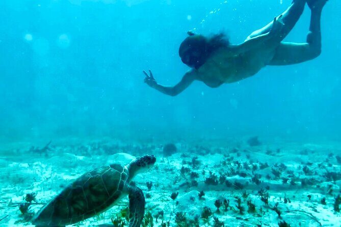 Tortola Private Tour and Snorkeling in the most beautiful beaches - In-Depth Look at the Itinerary