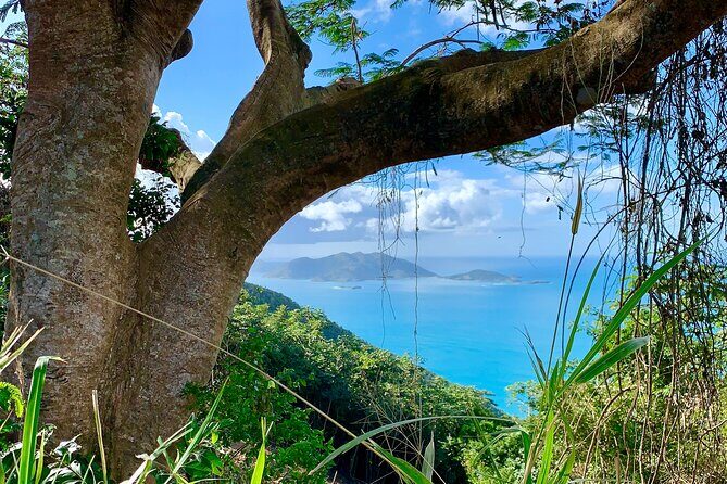 Tortola Private Tour and Snorkeling in the most beautiful beaches - Frequently Asked Questions