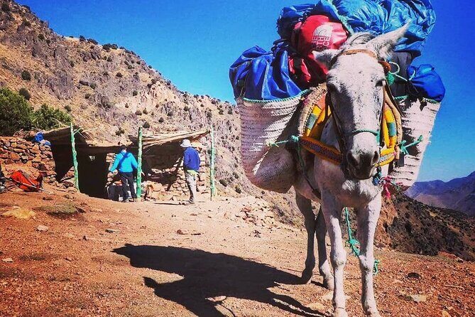 Toubkal Ascension 2 Days - Final Thoughts