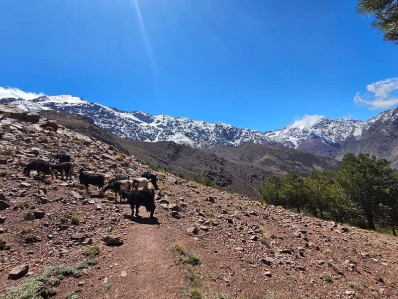 Toubkal Ascent Hike 2 Days 1 night in Atlas Mountains. - The Value of This Experience