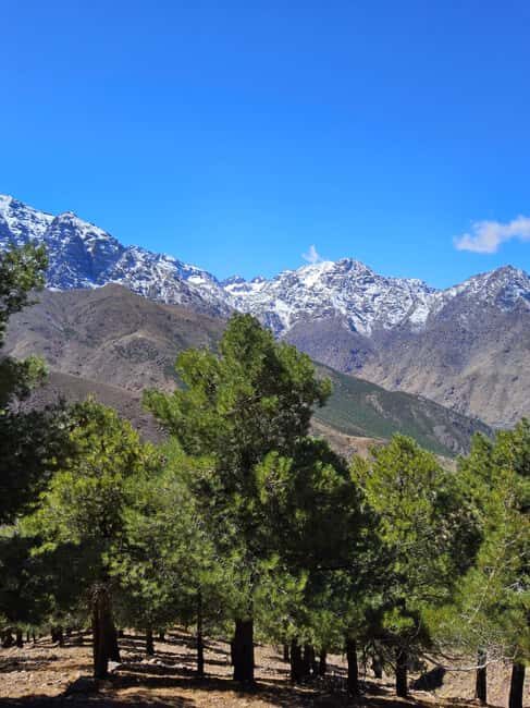 Toubkal Ascent Hike 2 Days 1 night in Atlas Mountains. - FAQ