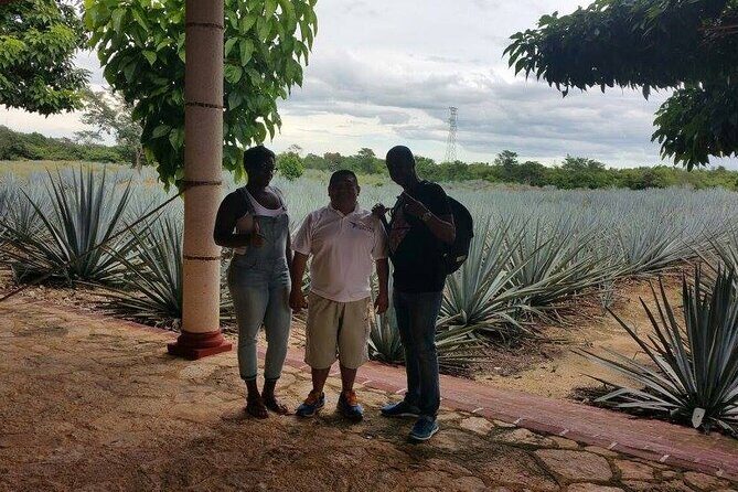 Tour 3-Day Private Yucatan Peninsula Tour Including Mayan Community - Day 1: Exploring Chichen Itza or Ek Balam
