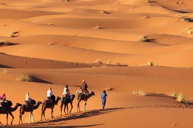 Tour 3 Days 2 Nights To Merzouga Desert from Marrakech - Guides and Reviews
