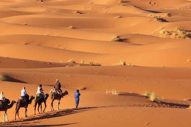 Tour 3 Days 2 Nights To Merzouga Desert from Marrakech - The Sum Up