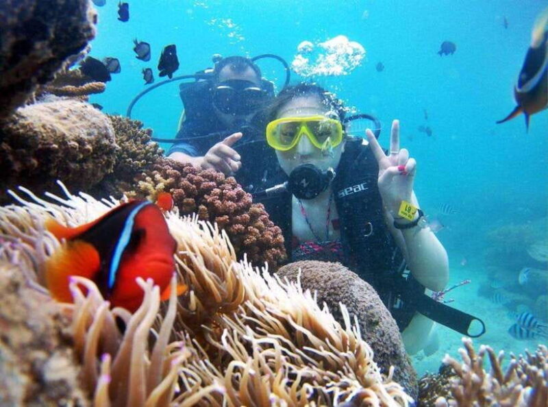 Tour 3 islands of Nha Trang VIP - Discovering the 3 Islands of Nha Trang VIP Tour: An In-Depth Review