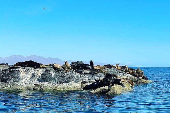 Tour a la Isla Coronados con actividad de esnorquel - Final Thoughts