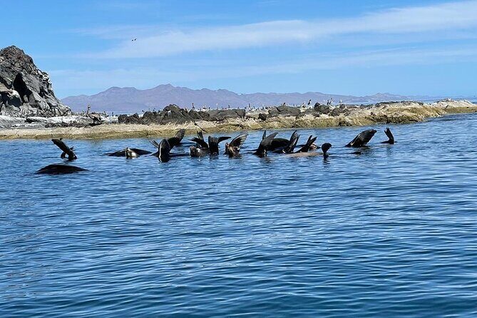 Tour a la Isla Coronados con actividad de esnorquel - FAQ