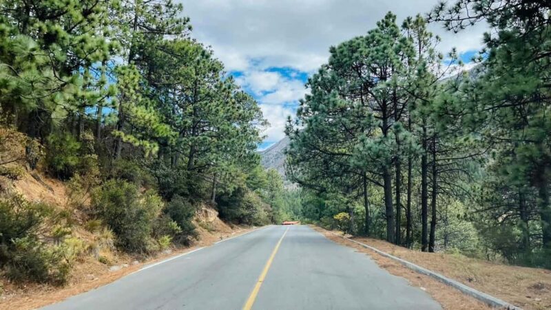 Tour "Arteaga Coahuila" + Guía + Traslados + Tickets - A Deep Dive into the Arteaga Experience