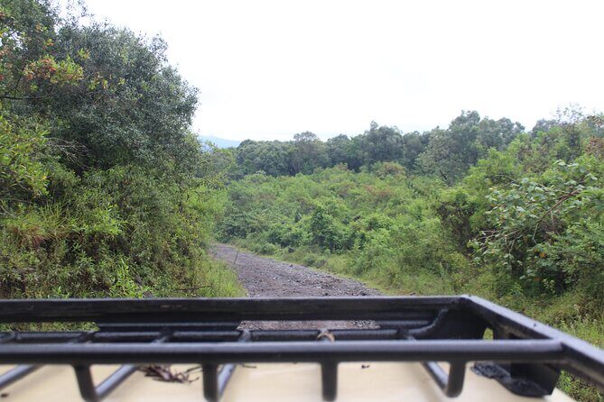 Tour at Arusha National Park - Transportation and Group Size