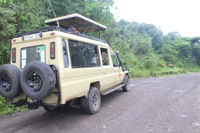 Tour at Arusha National Park - Pricing and Value